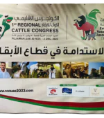 Pop up Banner - Image 10