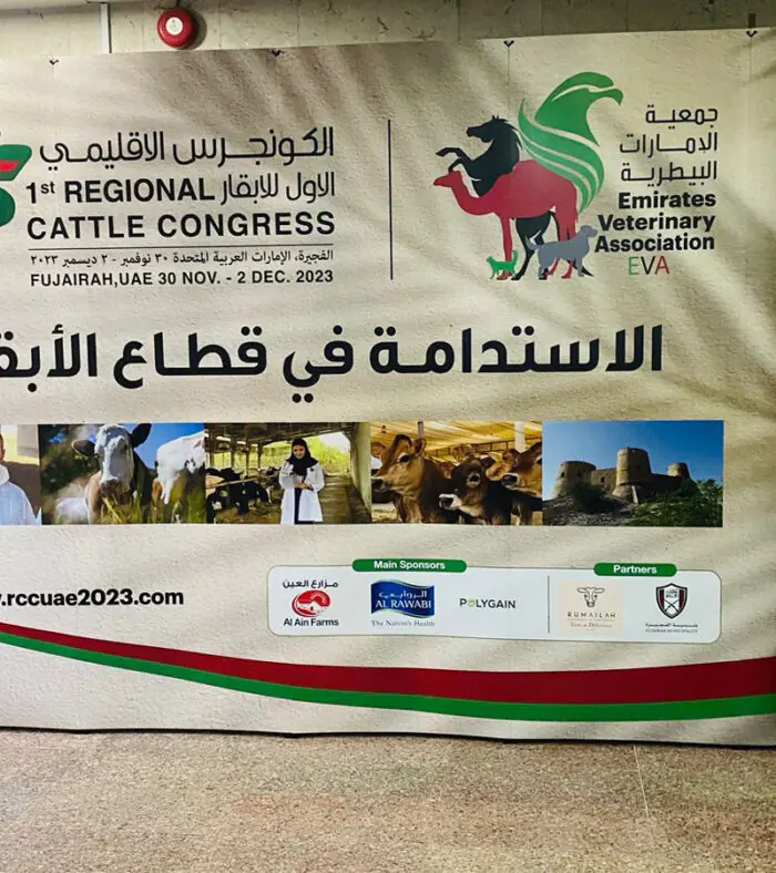 Pop up Banner - Image 11