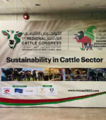 Pop up Banner - Image 12