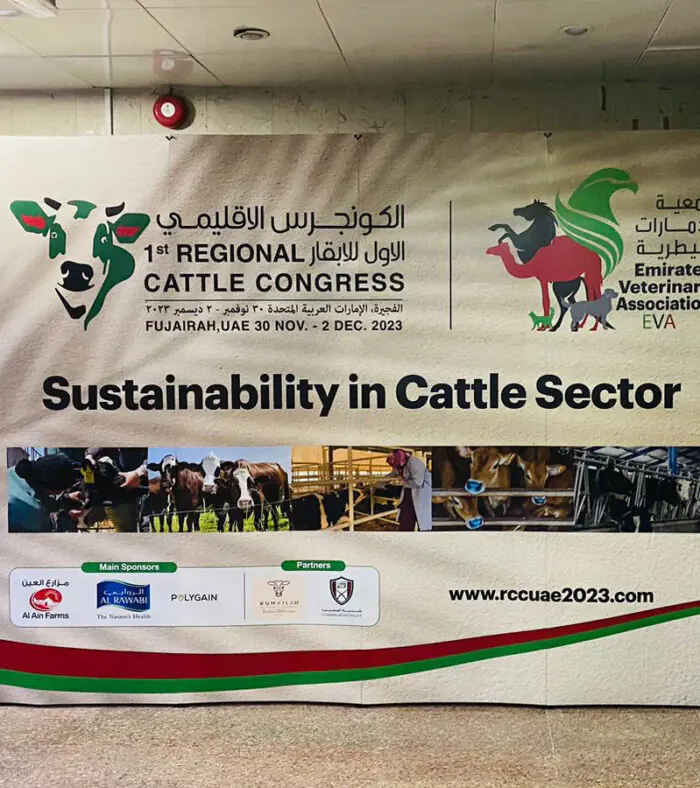 Pop up Banner - Image 12