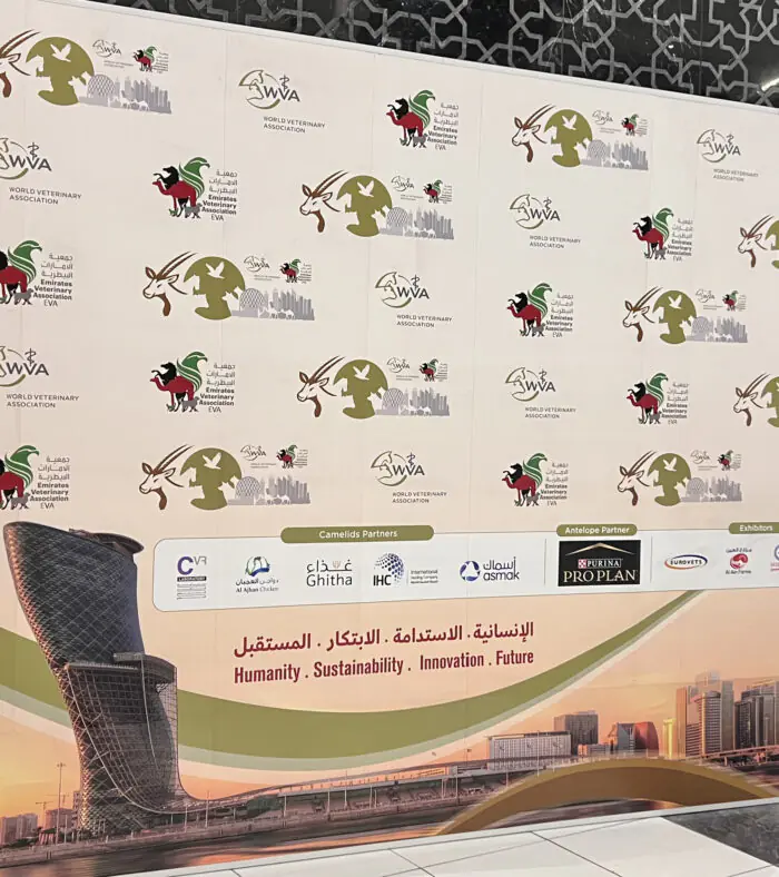 Pop up Banner - Image 4